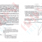 The final pages of Frezza's investigation and conclusions (in Italian)