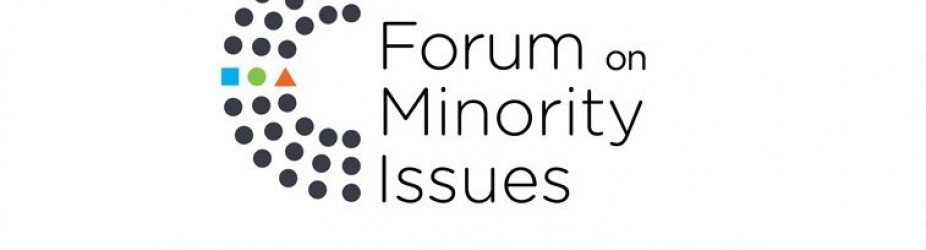 Intervento di TRIEST NGO al XII Forum on Minority Issues, OHCHR – ONU