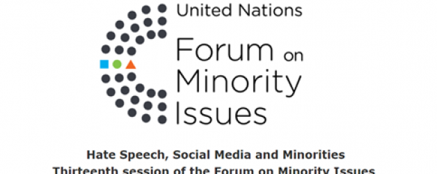 Intervento di TRIEST NGO al XIII Minorities Forum 2020 dell’OHCHR–ONU