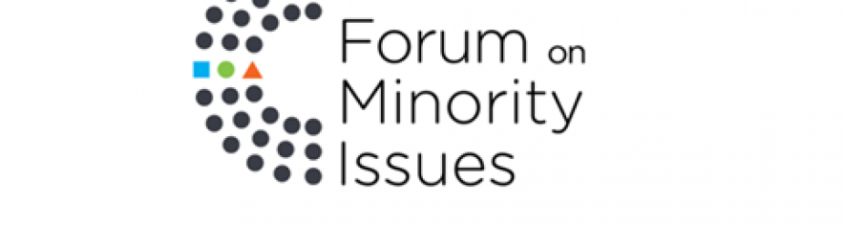 Intervento di TRIEST NGO al XIII Minorities Forum 2020 dell’OHCHR–ONU